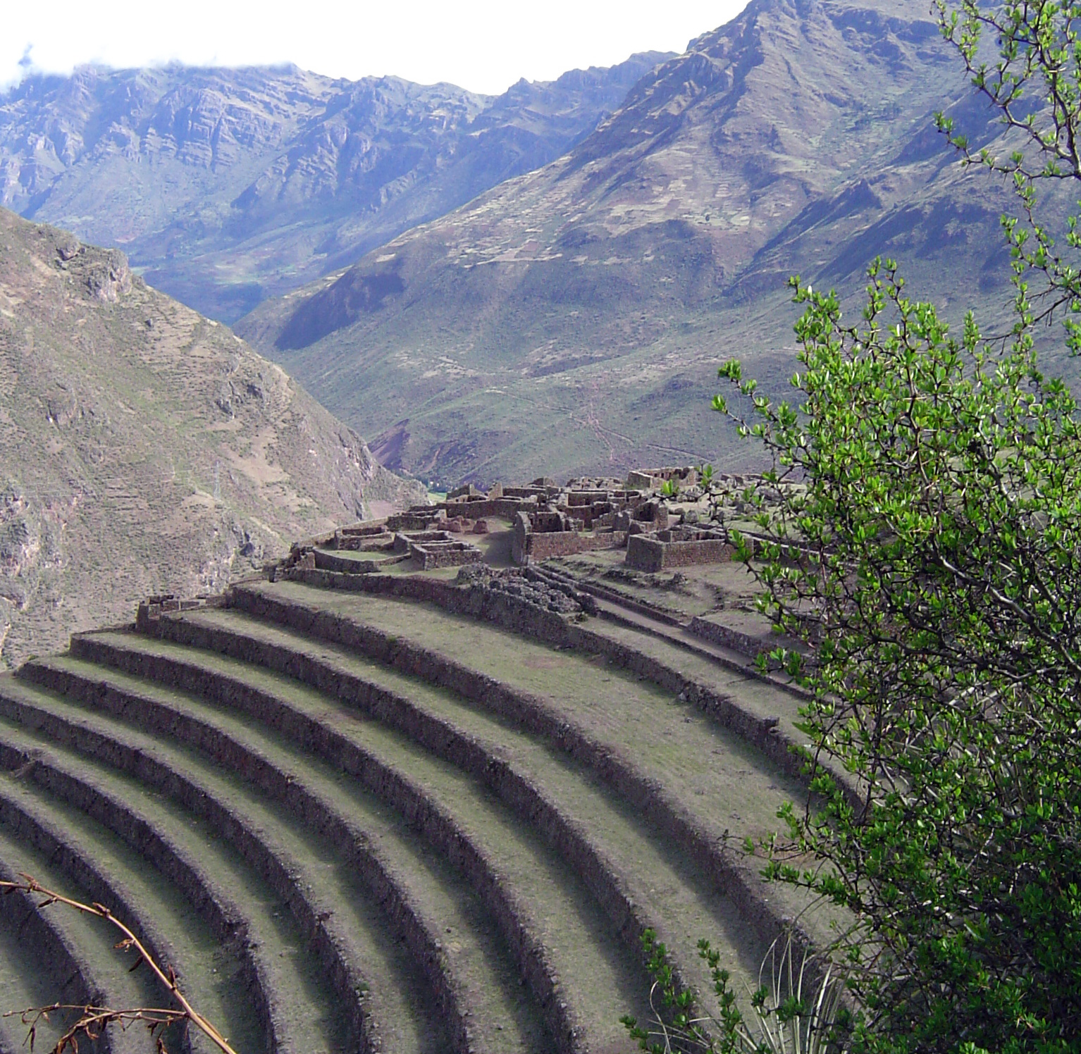 Andenes inca