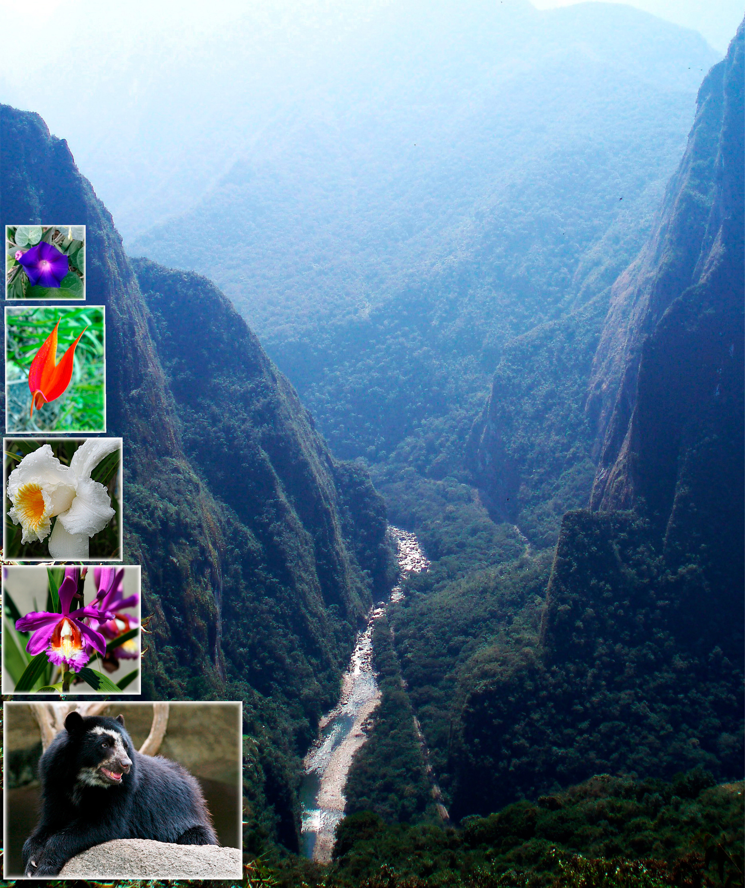 Machupicchu