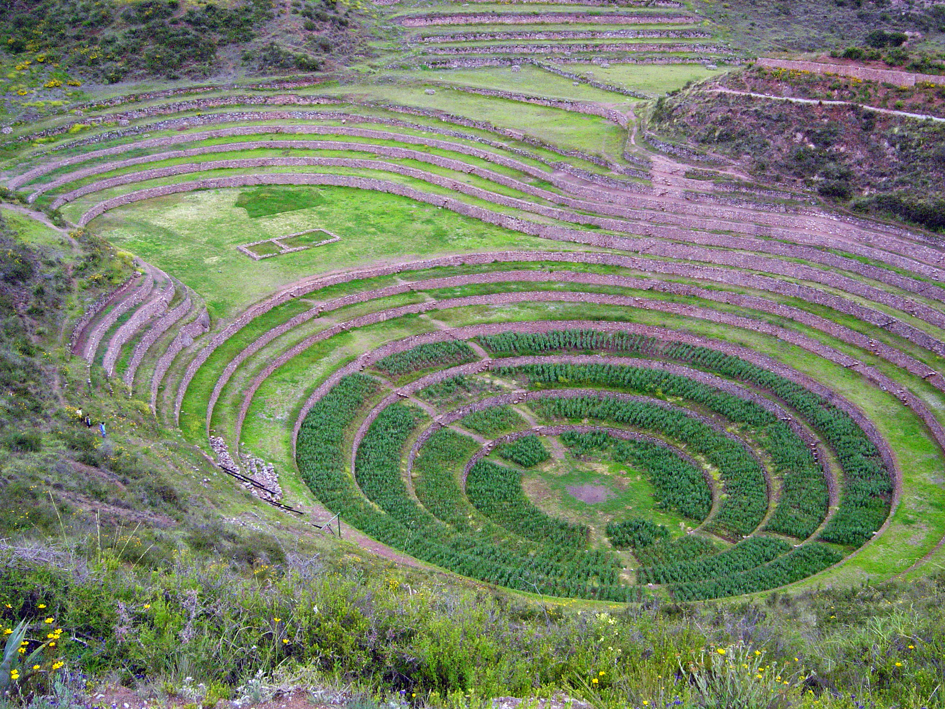 Moray