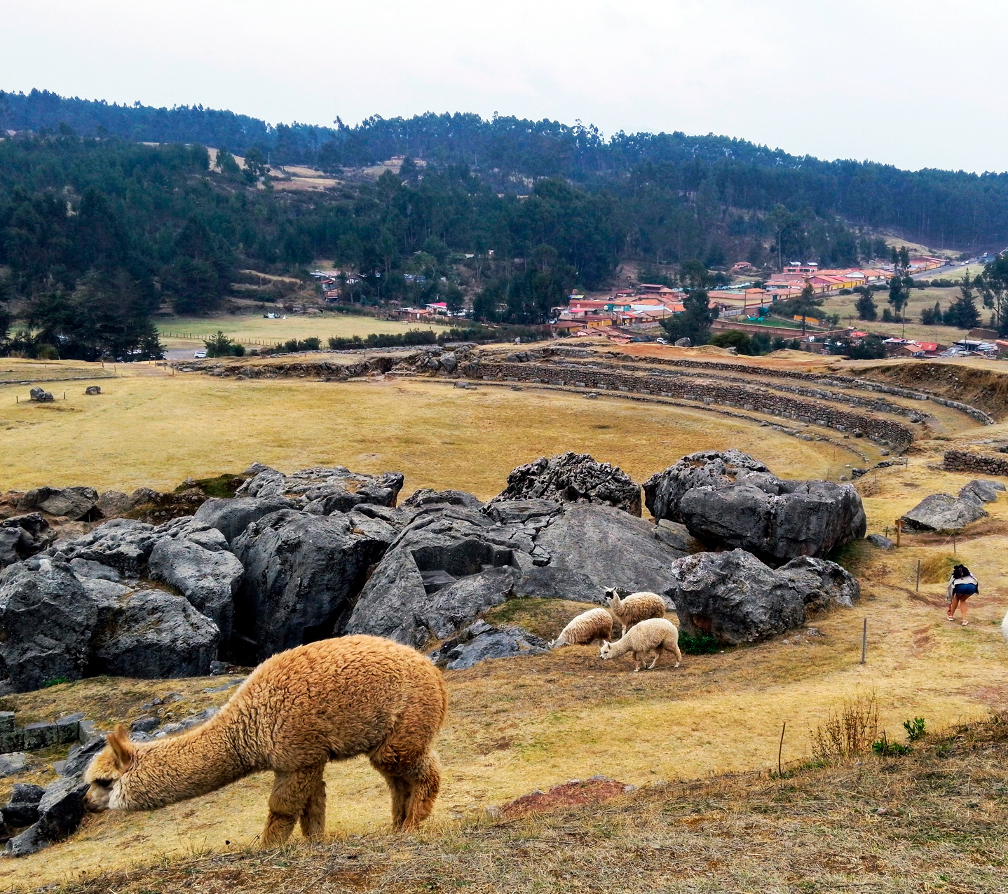 qocha cusco