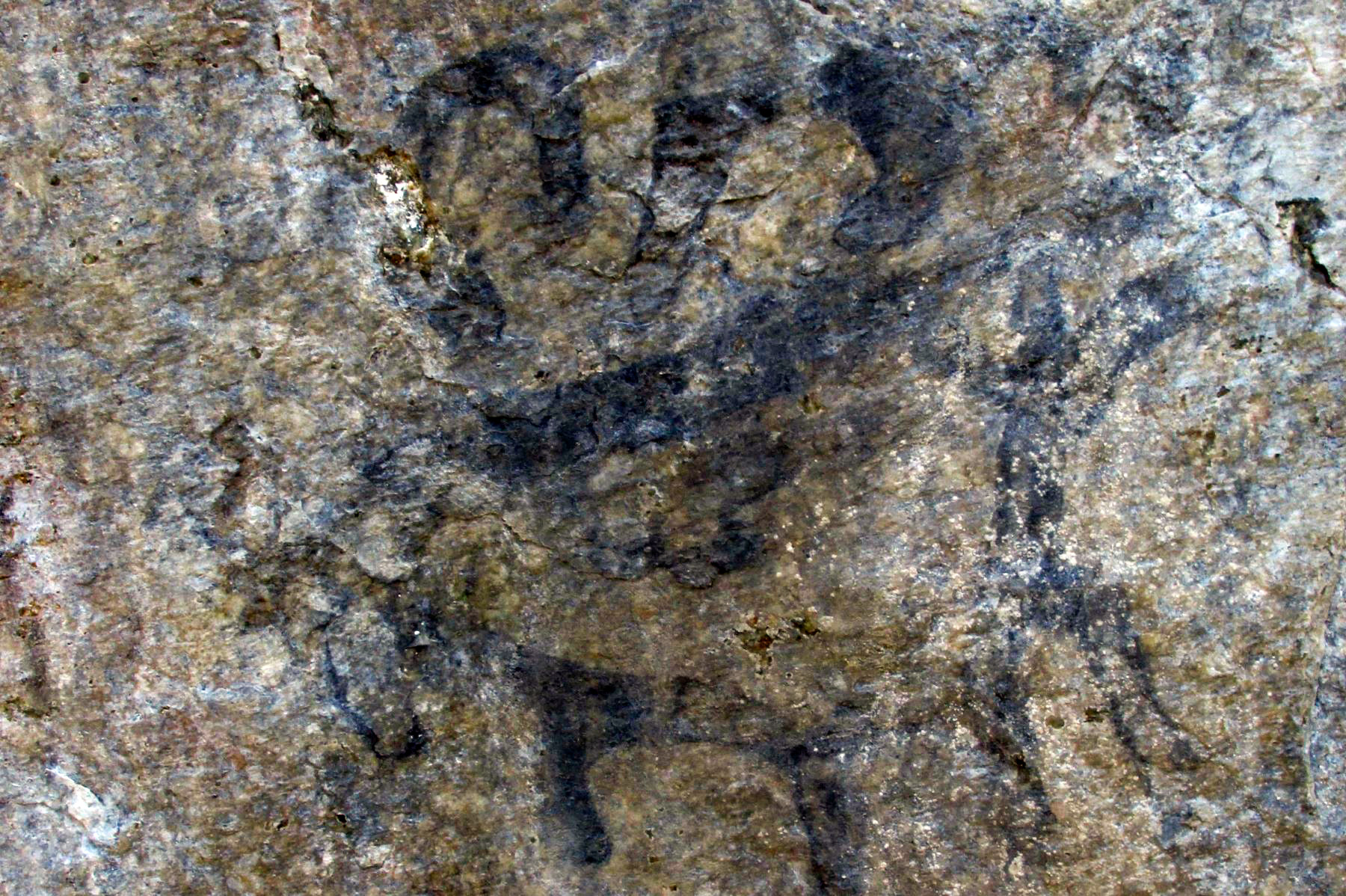 Pintura rupestre mapi