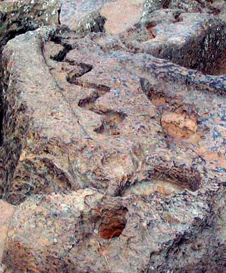 qenqo